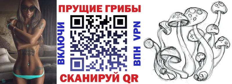 Купить где  Малаховка  Галлюциногенные грибы Cubensis 